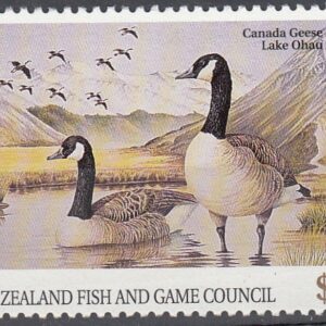 1998 Canada Goose